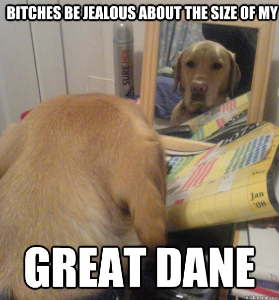 bitches be jealous about the size of my great dane - bitches be jealous about the size of my great dane  Vanity Dog