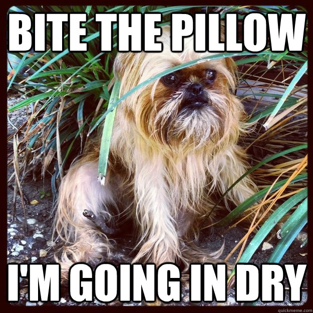 Bite the pillow I'm going in dry - Bite the pillow I'm going in dry  Wickets Fun Time