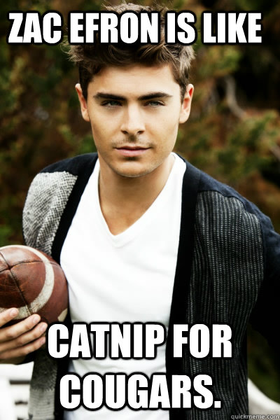 Zac Efron is like  catnip for cougars.  Zac Efron