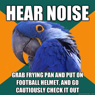 Hear noise Grab frying pan and put on football helmet, and go cautiously check it out  Paranoid Parrot
