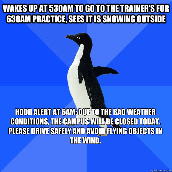 Wakes up at 530am to go to the trainer's for 630am practice, sees it is snowing outside Hood alert at 6am: Due to the bad weather conditions, the campus will be closed today. Please drive safely and avoid flying objects in the wind.  Socially Awkward Penguin
