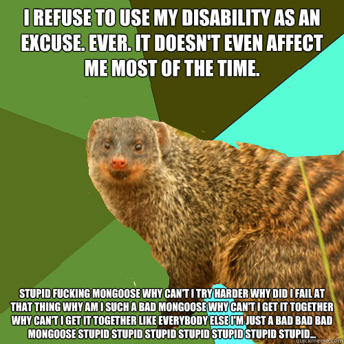 i refuse to use my disability as an excuse. ever. it doesn't even affect me most of the time. stupid fucking mongoose why can't i try harder why did i fail at that thing why am i such a bad mongoose why can't i get it together why can't i get it together   