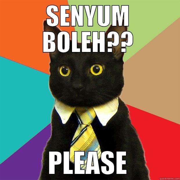 SMILE FOR ME!! - SENYUM BOLEH?? PLEASE Business Cat