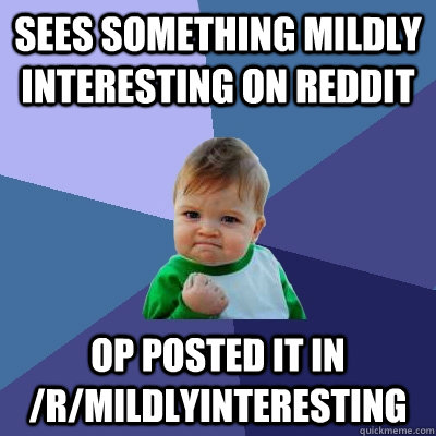 SEEs something mildly interesting on Reddit OP posted it in /r/mildlyinteresting  Success Kid