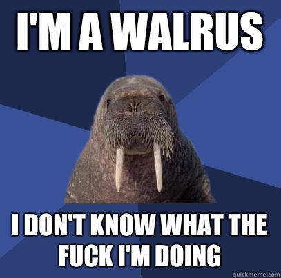 I'm a walrus  I don't know what the fuck I'm doing  Web Developer Walrus