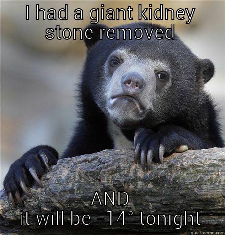 I HAD A GIANT KIDNEY STONE REMOVED AND IT WILL BE -14° TONIGHT Confession Bear