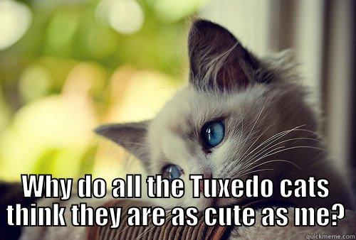  WHY DO ALL THE TUXEDO CATS THINK THEY ARE AS CUTE AS ME? First World Problems Cat