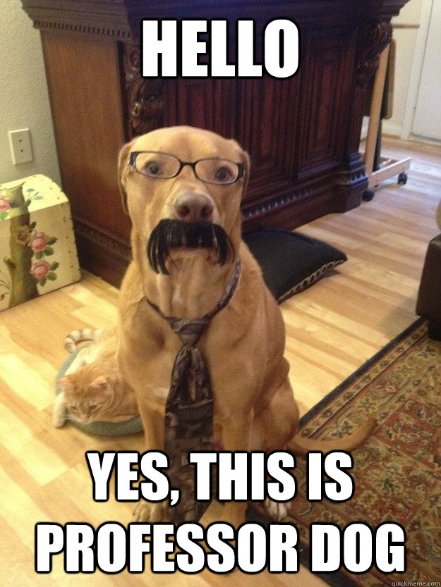 HELLO YES, THIS IS PROFESSOR DOG  