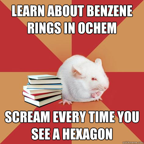 Learn About Benzene Rings In OChem  Scream Every Time You See A Hexagon    Science Major Mouse