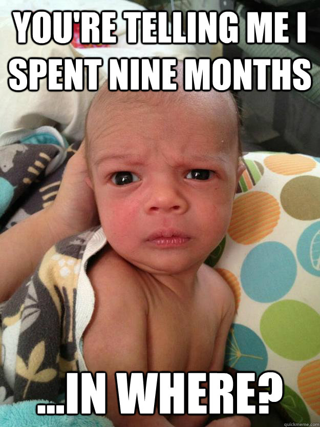 You're telling me I spent nine months ...in where? - You're telling me I spent nine months ...in where?  Misc