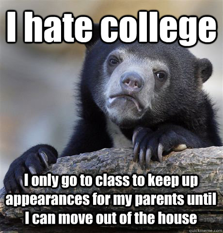I hate college  I only go to class to keep up appearances for my parents until I can move out of the house  Confession Bear