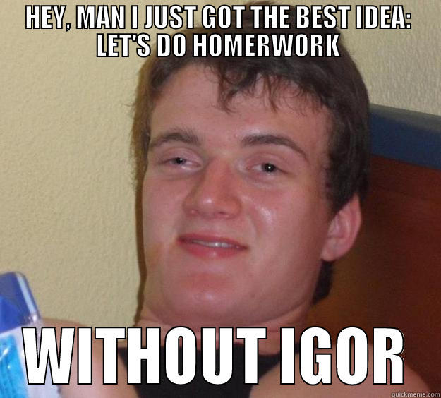 HEY, MAN I JUST GOT THE BEST IDEA: LET'S DO HOMERWORK WITHOUT IGOR 10 Guy