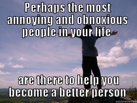 Personal training - PERHAPS THE MOST ANNOYING AND OBNOXIOUS PEOPLE IN YOUR LIFE   ARE THERE TO HELP YOU BECOME A BETTER PERSON Misc