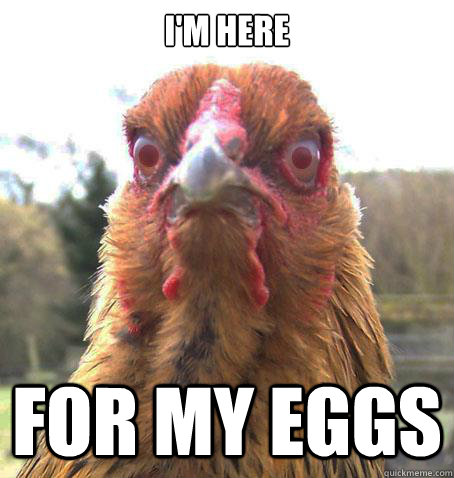 I'm here For my eggs  RageChicken