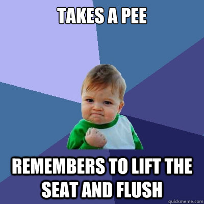 takes a pee remembers to lift the seat and flush  Success Kid