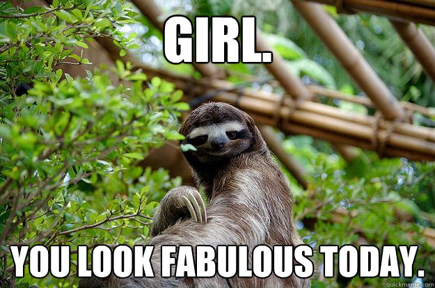 Girl. You look fabulous today. - Girl. You look fabulous today.  Fabulous Sloth