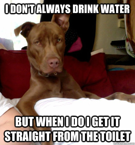 I don't always drink water But when I do I get it straight from the toilet - I don't always drink water But when I do I get it straight from the toilet  Misc