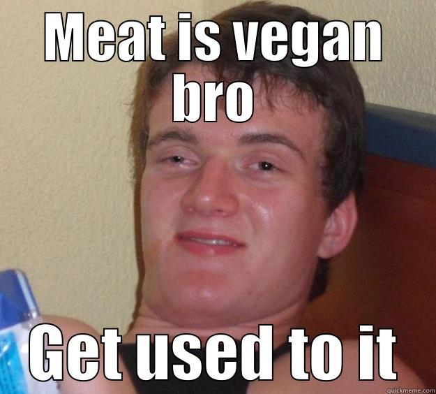 MEAT IS VEGAN BRO GET USED TO IT 10 Guy