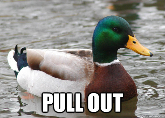 pull out  Actual Advice Mallard