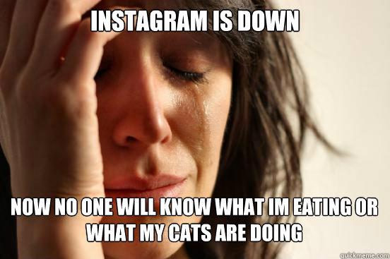 instagram is down
 now no one will know what Im eating or what my cats are doing Caption 3 goes here  First World Problems