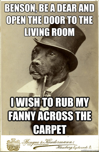 Benson, be a dear and open the door to the living room I wish to rub my fanny across the carpet  Old Money Dog