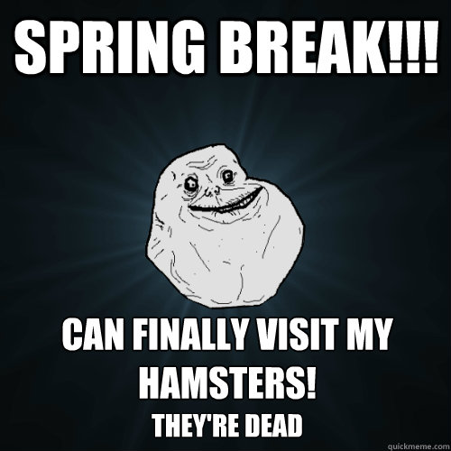 Spring Break!!! Can finally visit my hamsters! They're dead  Forever Alone