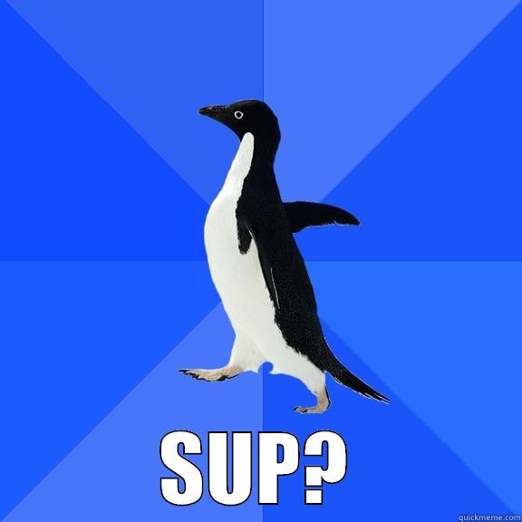 Sup Penquin???? -  SUP? Socially Awkward Penguin