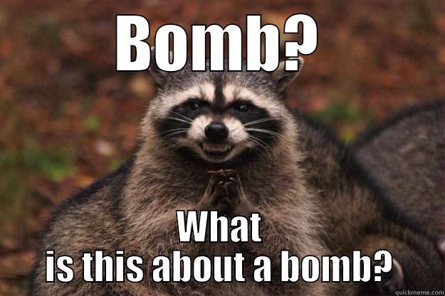 What now? - BOMB? WHAT IS THIS ABOUT A BOMB? Evil Plotting Raccoon