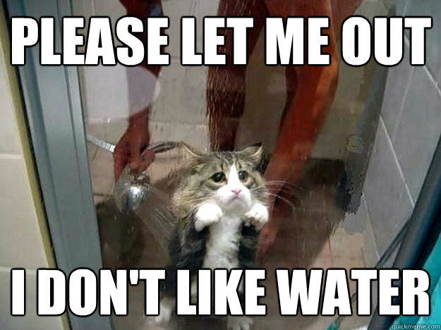 Please let me out I don't like water  Shower kitty