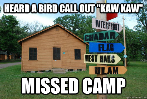 Heard a bird call out 