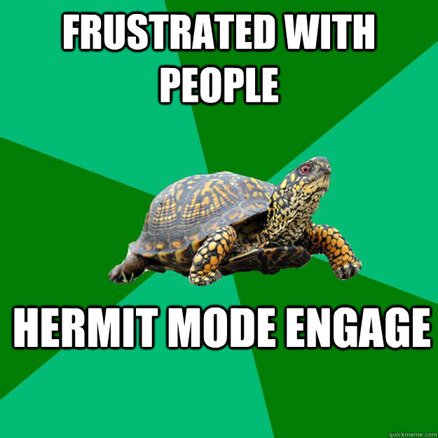 Frustrated with people HERMIT MODE ENGAGE  Torrenting Turtle