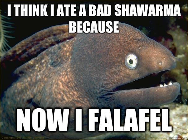 I think I ate a bad shawarma because  Now I Falafel   Bad Joke Eel