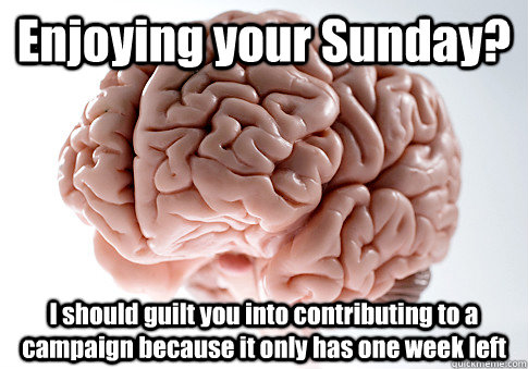 Enjoying your Sunday? I should guilt you into contributing to a campaign because it only has one week left   Scumbag Brain