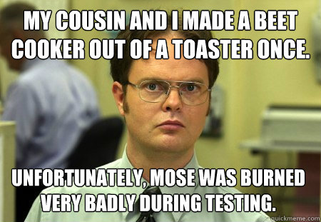 my cousin and I made a beet cooker out of a toaster once. unfortunately, mose was burned very badly during testing.  Dwight