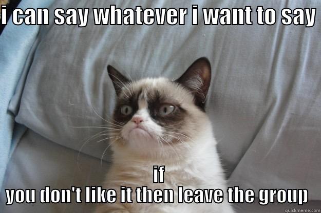 I CAN SAY WHATEVER I WANT TO SAY  IF YOU DON'T LIKE IT THEN LEAVE THE GROUP  Grumpy Cat