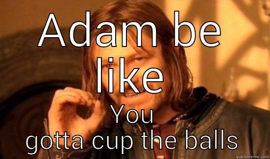 ADAM BE LIKE YOU GOTTA CUP THE BALLS Boromir