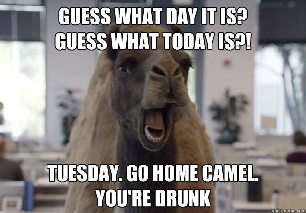 Guess what day it is? 
Guess What today is?! Tuesday. Go home camel. 
you're drunk - Guess what day it is? 
Guess What today is?! Tuesday. Go home camel. 
you're drunk  Geico Camel Hump Day