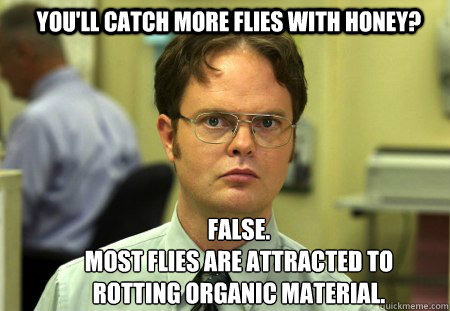 YOU'LL CATCH MORE FLIES WITH HONEY? FALSE.  
MOST FLIES ARE ATTRACTED TO ROTTING ORGANIC MATERIAL.  Schrute