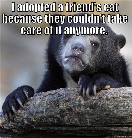 I ADOPTED A FRIEND'S CAT BECAUSE THEY COULDN'T TAKE CARE OF IT ANYMORE.  I HAD THE CAT FOR 6 MONTHS BEFORE SHE WAS HIT. I STILL SEND MY FRIEND PICTURES OF THE CAT THAT I TOOK PRIOR TO HER DEATH.  Confession Bear