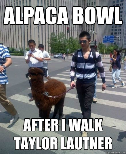 alpaca bowl after i walk taylor lautner  