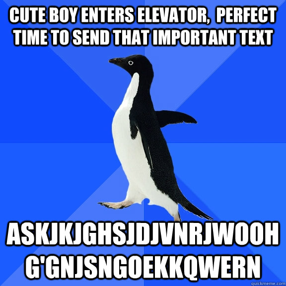 cute boy enters elevator,  perfect time to send that important text askjkjghsjdjvnrjwoohg'gnjsngoekkqwern  Socially Awkward Penguin