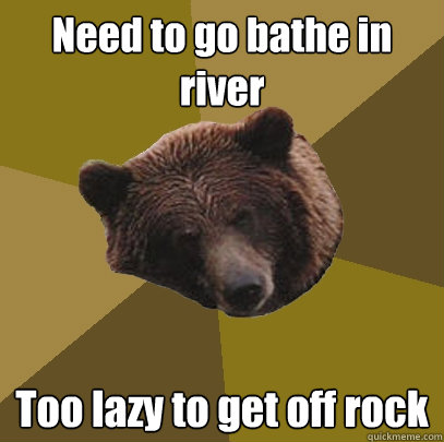 Need to go bathe in river Too lazy to get off rock  Lazy Bachelor Bear