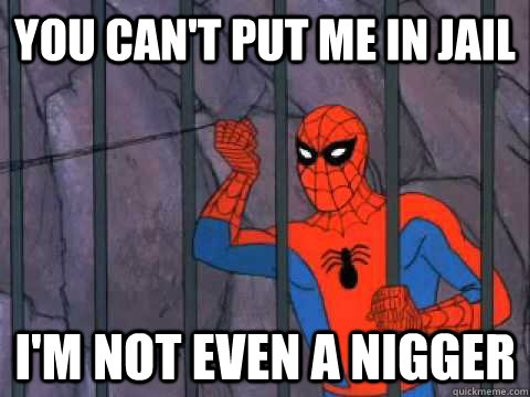 You can't put me in jail I'm not even a nigger - You can't put me in jail I'm not even a nigger  Spiderman Prison