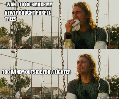 Want to go smoke my  Too windy outside for a lighter newly bought purple trees  First World Stoner Problems