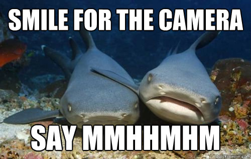 Smile for the camera say mmhhmhm  Compassionate Shark Friend