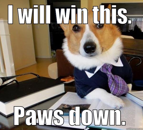 I WILL WIN THIS. PAWS DOWN. Lawyer Dog