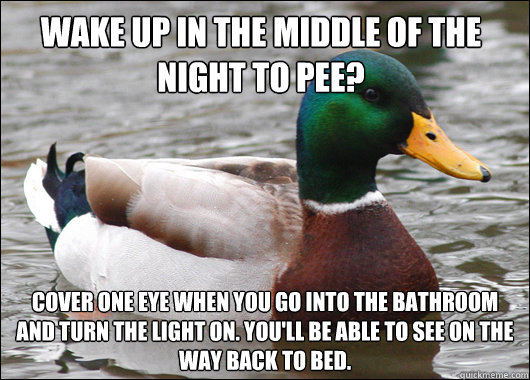 Wake up in the middle of the night to pee? cover one eye when you go into the bathroom and Turn the light on. You'll be able to see on the way back to bed.  Actual Advice Mallard
