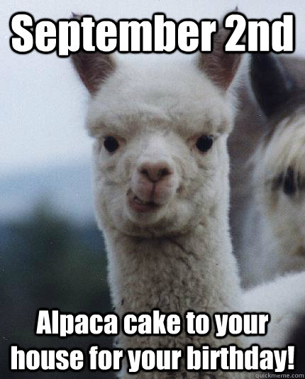 September 2nd Alpaca cake to your house for your birthday!  ALPACA