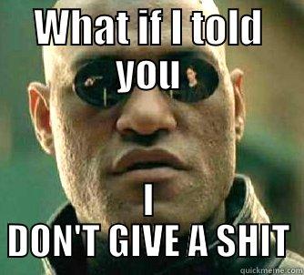 WHAT IF I TOLD YOU I DON'T GIVE A SHIT Matrix Morpheus
