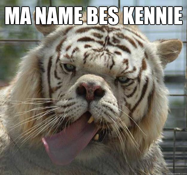 ma name bes Kennie  - ma name bes Kennie   Kenny the Retarded Tiger